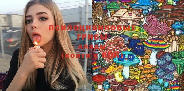 альфа пвп Медногорск